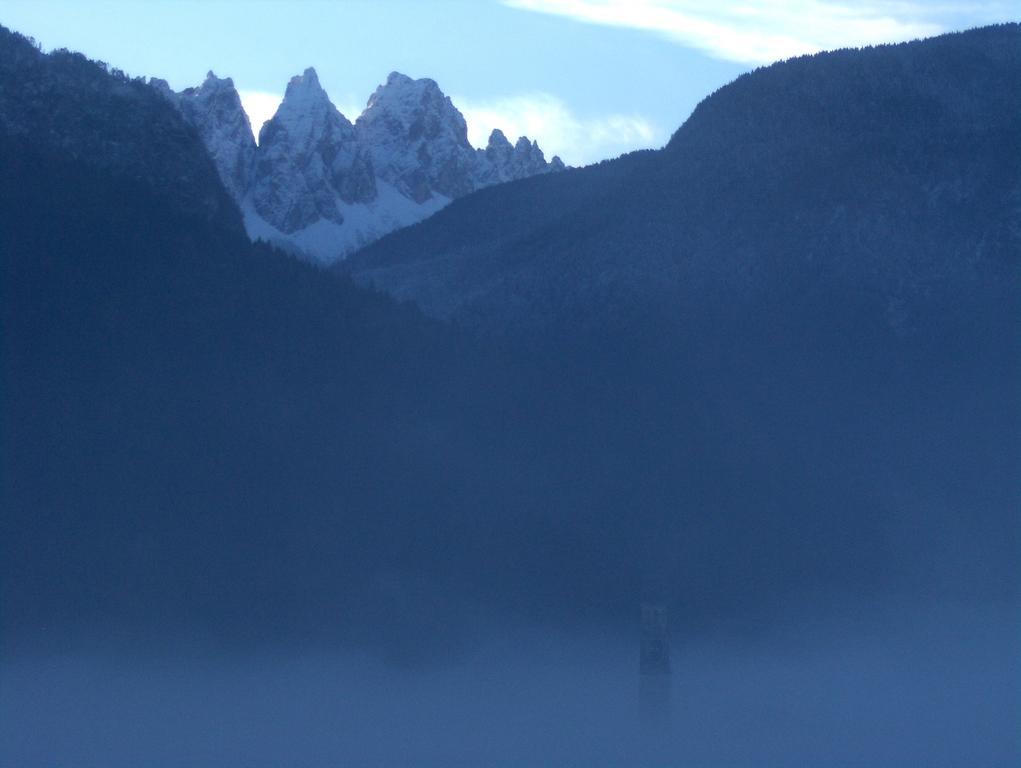 Fra Rose E Mughi Bed and Breakfast Domegge di Cadore Exterior foto