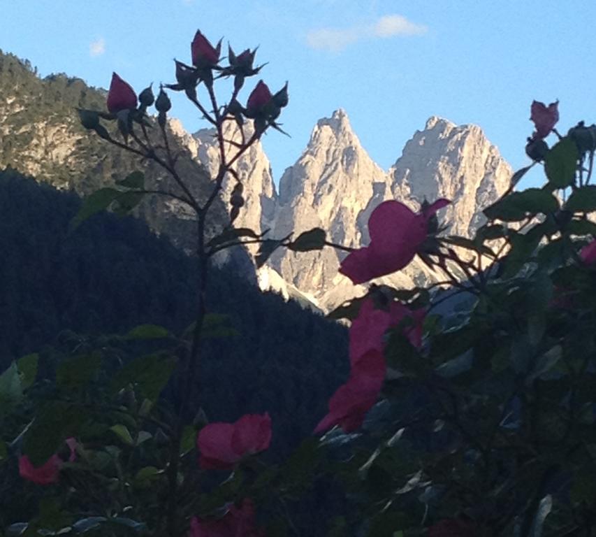 Fra Rose E Mughi Bed and Breakfast Domegge di Cadore Exterior foto