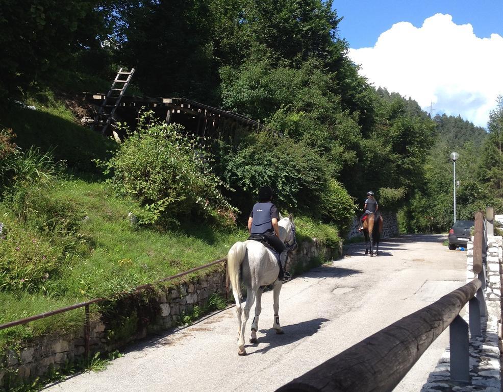 Fra Rose E Mughi Bed and Breakfast Domegge di Cadore Exterior foto